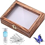 Insect Display Case Box Collection Box with Clear