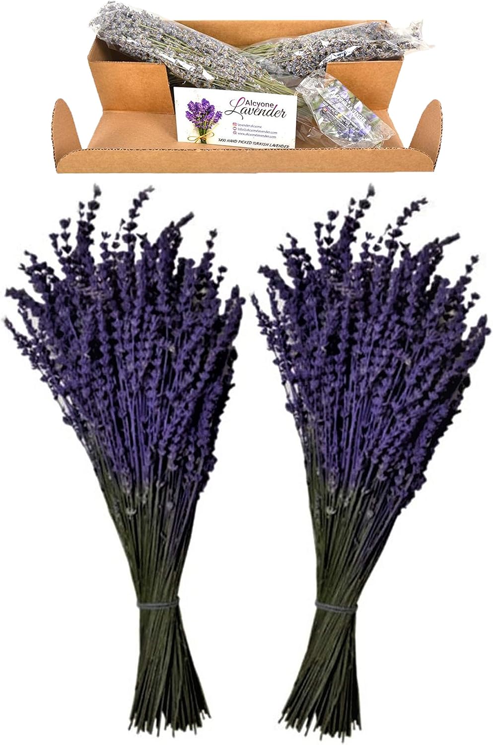 Lavender Bundles100 Fresh Dried Natural Lavender Flowers