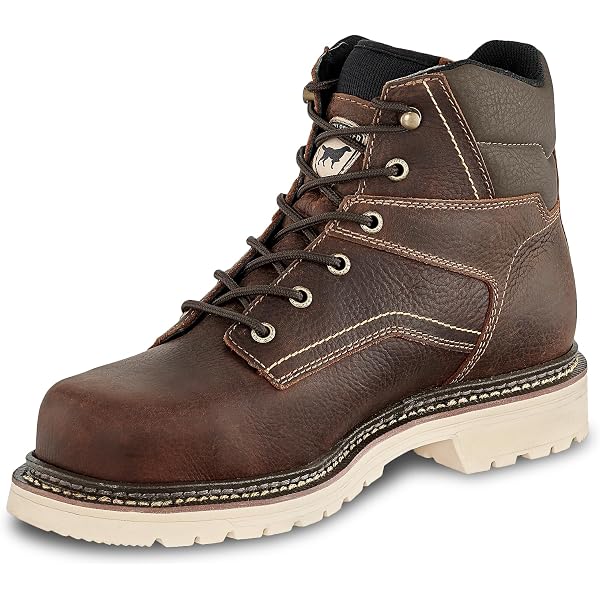 Amazon.com | Irish Setter 6 display picture 1
