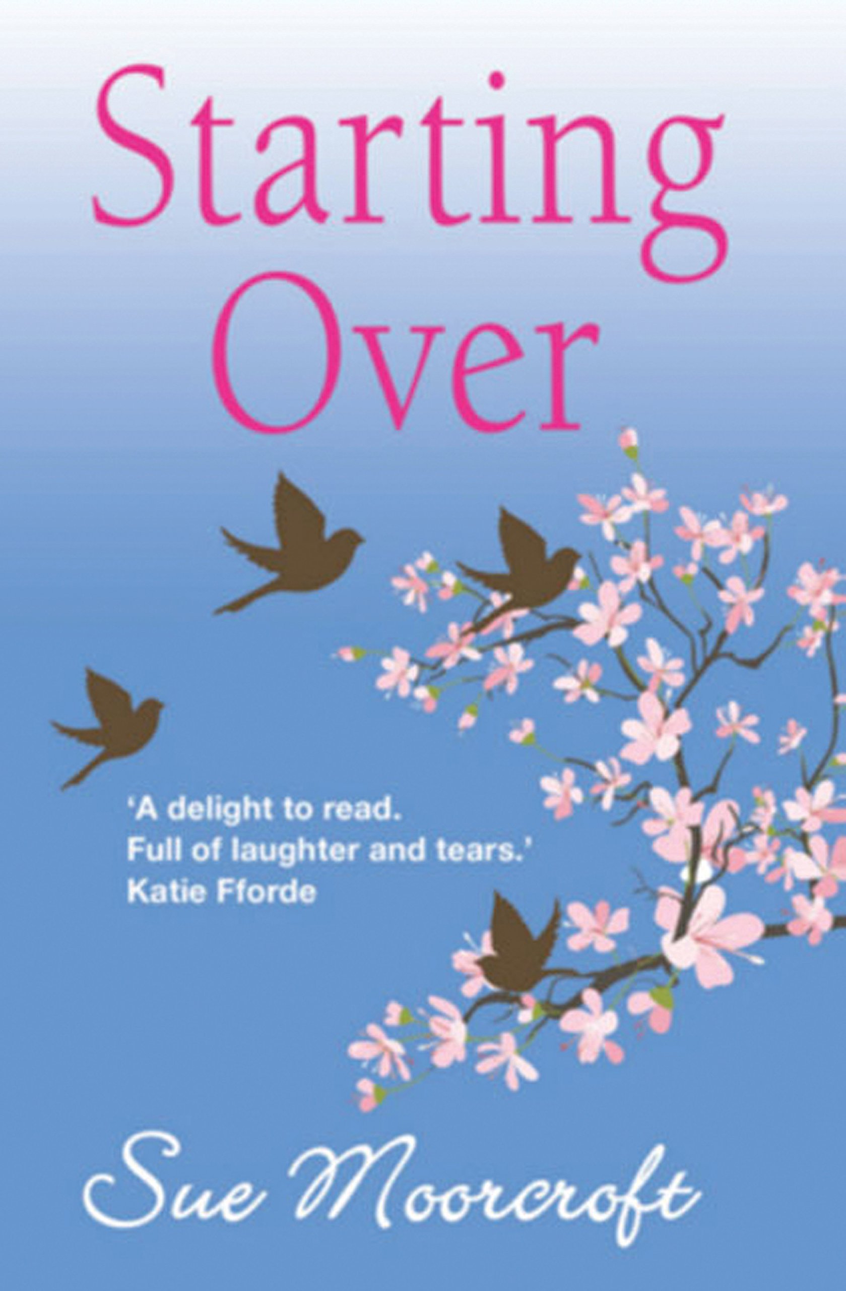 Starting Over Moorcroft Sue 9781906931223 Amazon Com Books