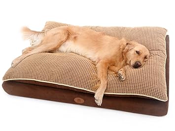 Buy Pls Pet Paradise Orthopedic Pet Bed Large 30wx45l Foam Dog