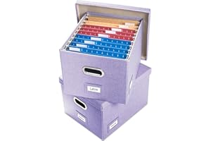 PRANDOM File Organizer Box - Set of 2 Collapsible Decorative Linen Filing Storage Hanging File Folders with Lids Office Cabinet Letter/Legal Size Purple (17x14x11.2 inch)