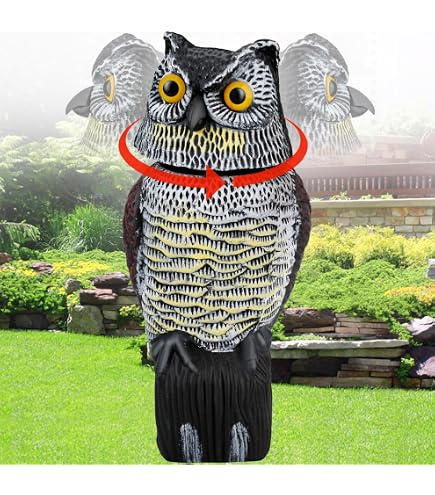 Amazon.com: Ruolan Plastic Owl,Brid Owl with Flashing