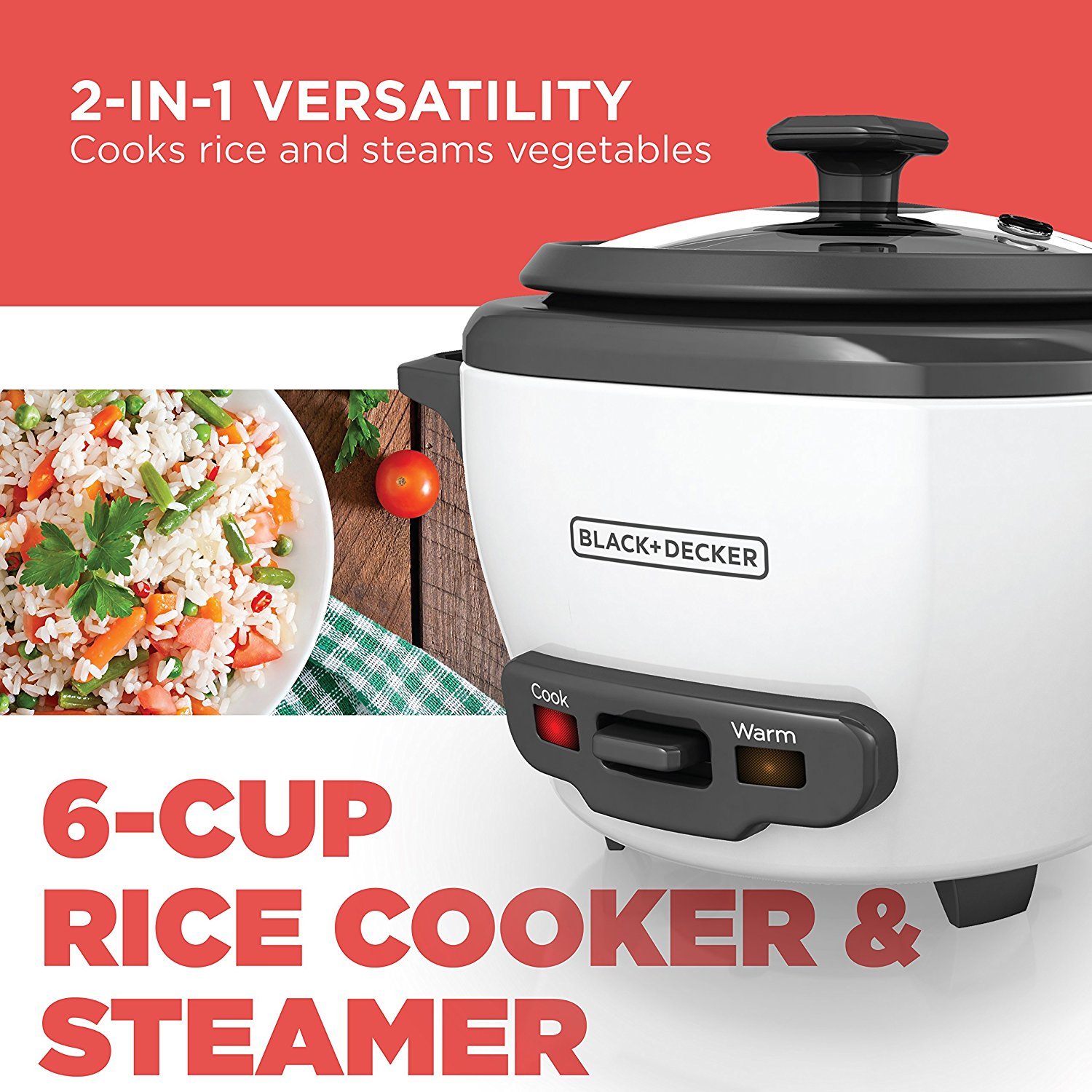 2-in-1 Rice Cooker