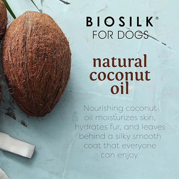 BIOSILK FOR DOGS SILK THERAPY SHAMPOO WITH NATURAL COCONUT OIL | COCONUT DOG SHAMPOO, SULFATE AND PARABEN FREE NATURAL SHAMPOO FOR DOGS, 12 FL OZ MADE IN THE USA,BEIGE