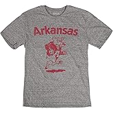 Reserve Collection by Blue 84 NCAA Arkansas Razorbacks Mens Vintage Tri-Blend Vault T Shirt, Arkansas Razorbacks Heather, Medium