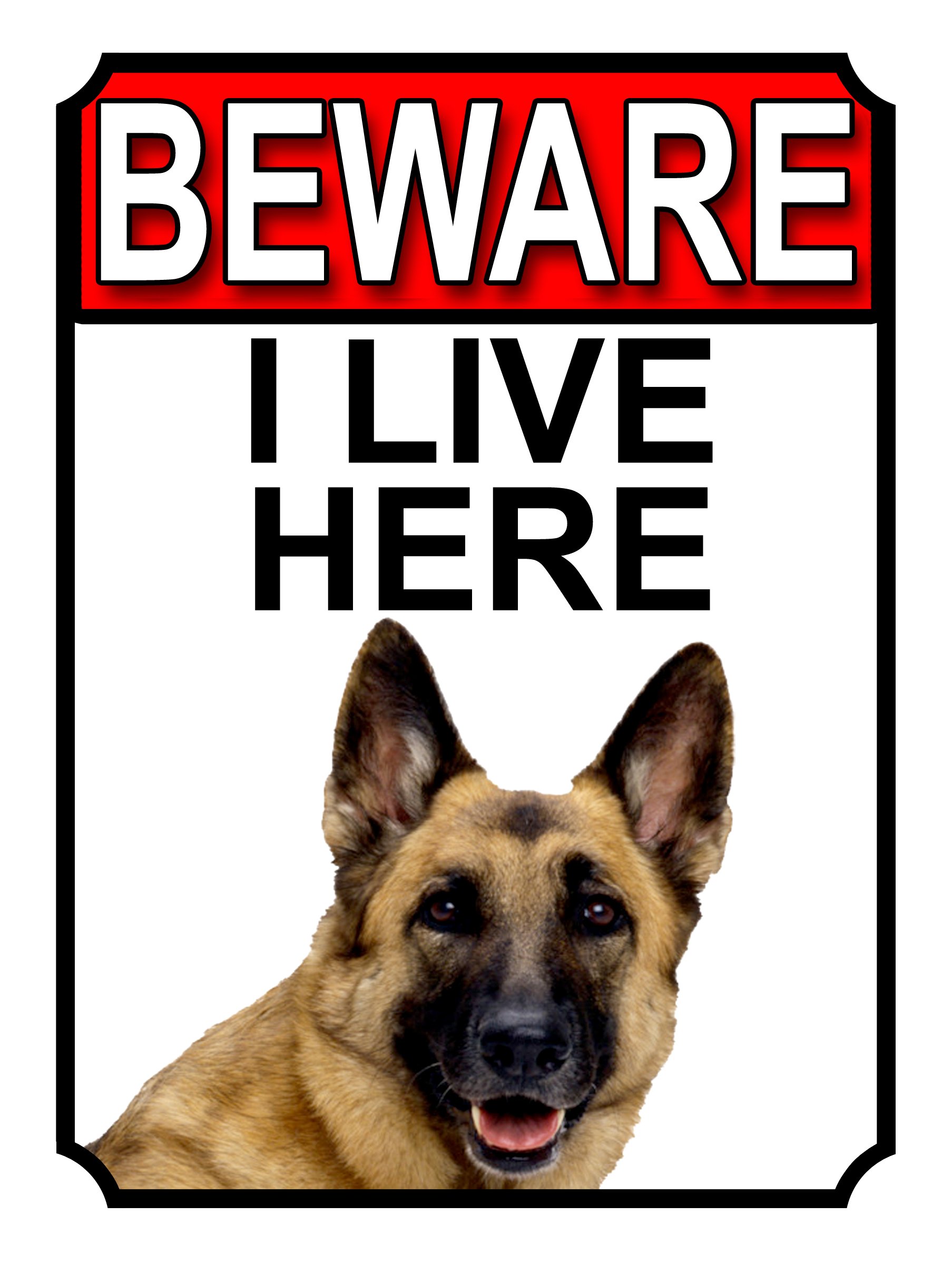 BEWARE I LIVE HERE METAL GATE SIGN GERMAN SHEPHERD 200MM X 10MM (1066H1)