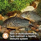 King British Algae Wafers 200g Multi-Vitamin Complete Sinking Food view 2