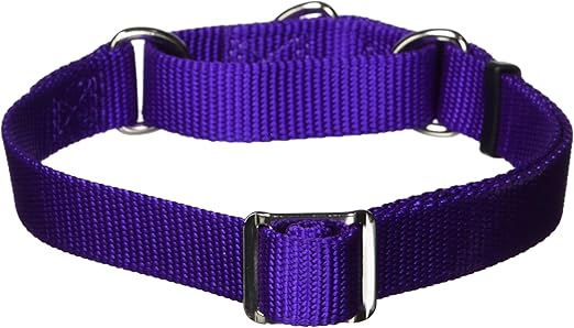 no slip dog collars