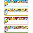 TREND Owl-Stars! Desk Toppers Name Plates Variety Pack, 2-7/8" x 9-1/2", 32 Count