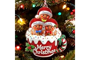 XRLSG Personalized Christmas Ornaments Custom Acrylic Family Christmas Tree Ornament with Name for 2-10 Members Home Decor