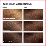 Revlon ColorSilk Beautiful Color 43 Medium Golden Brown view 2