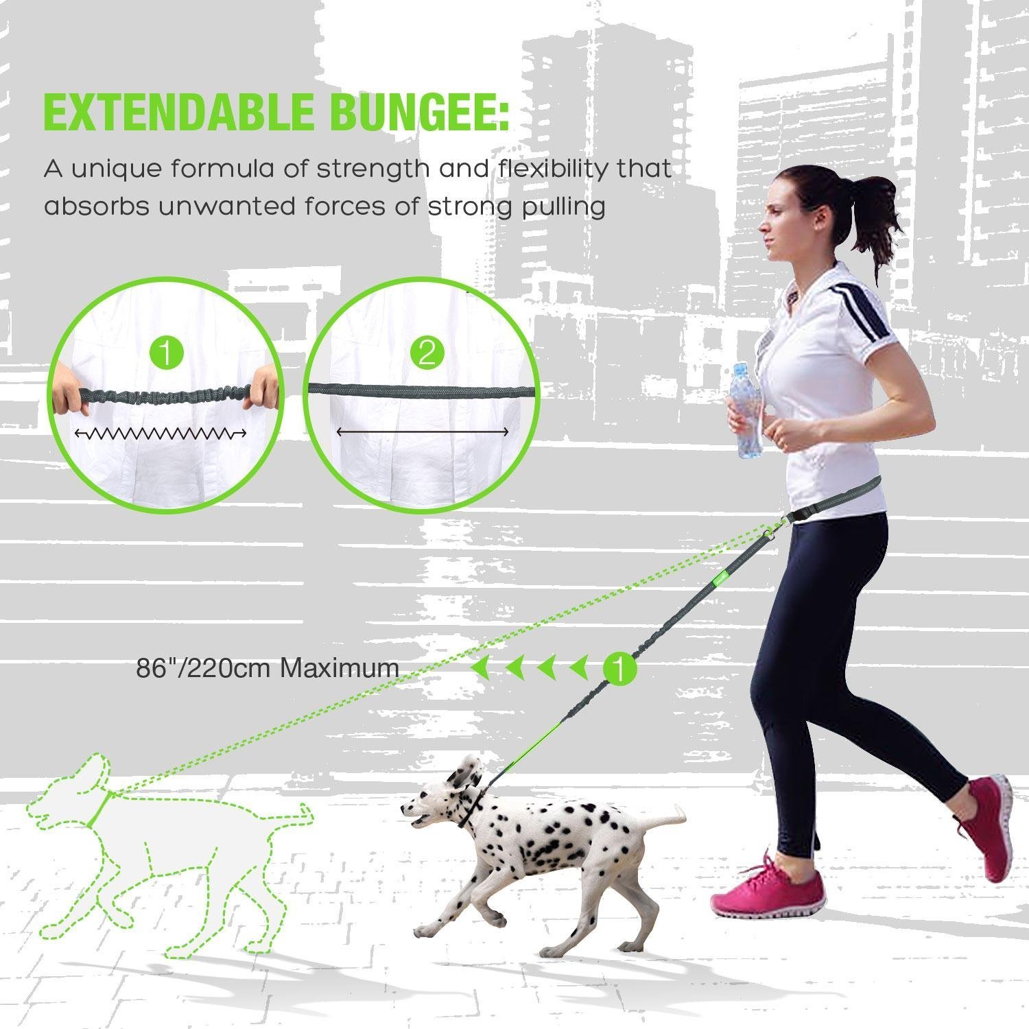 Pecute Hands Free Dog Leash with Extra Foam Handle - Extendable Bungee with Reflective Stitching - Waist Belt Adjustable Fits up to 48” Waist - For Jogging, Running, Hiking (Grey and Green)