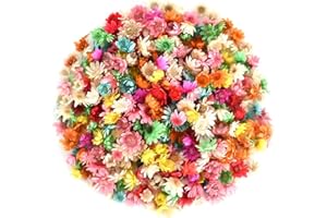280 Mini Natural Dried Flowers for Resin Crafts, Colourful Air-Dried Pressed Flowers with Vibrant Colors for Jewelry Pendant/