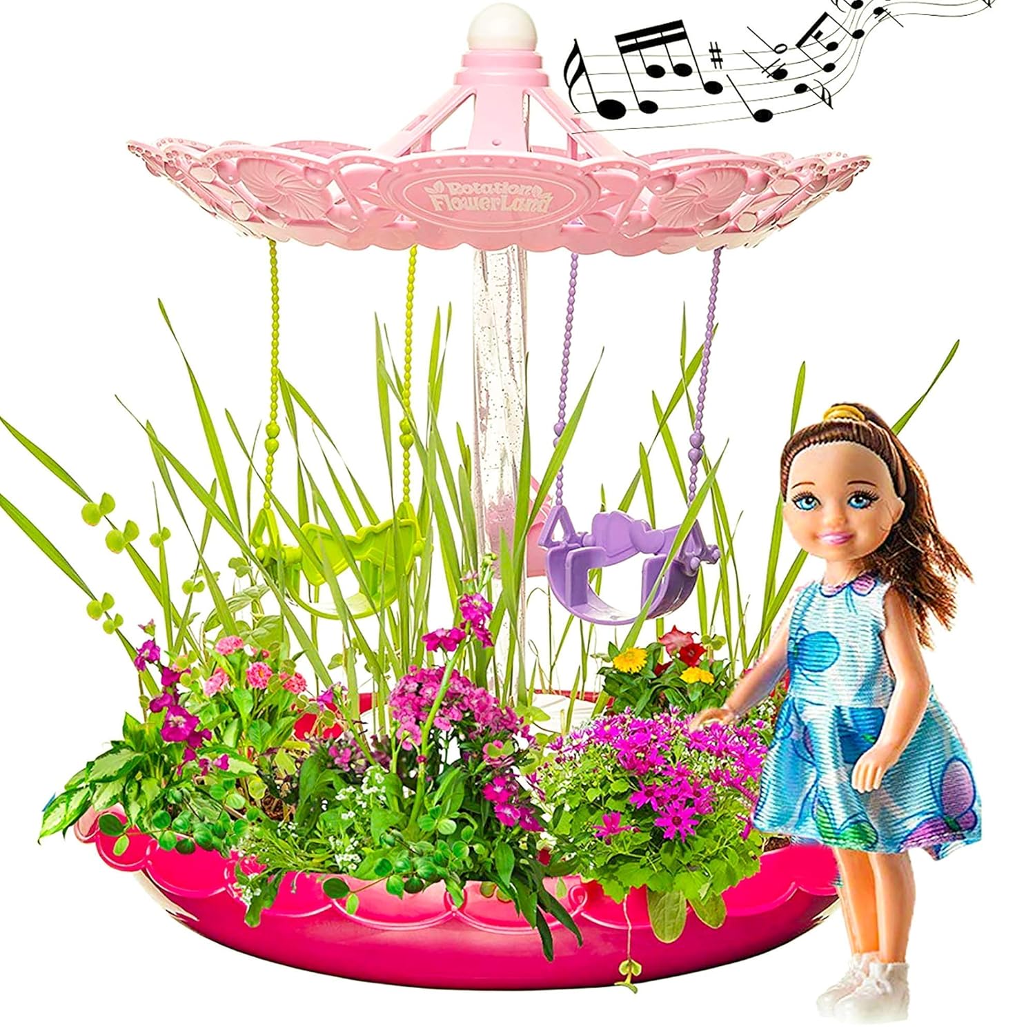 Best Fairy Garden Flowers Seeds