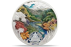 IMASONER 8 Month Sobriety Coin, AA Chip Medallion with Serenity Prayer, Summer Recovery Token for Men & Women, Alcoholics Anonymous Gifts for Clean & Sober Anniversary