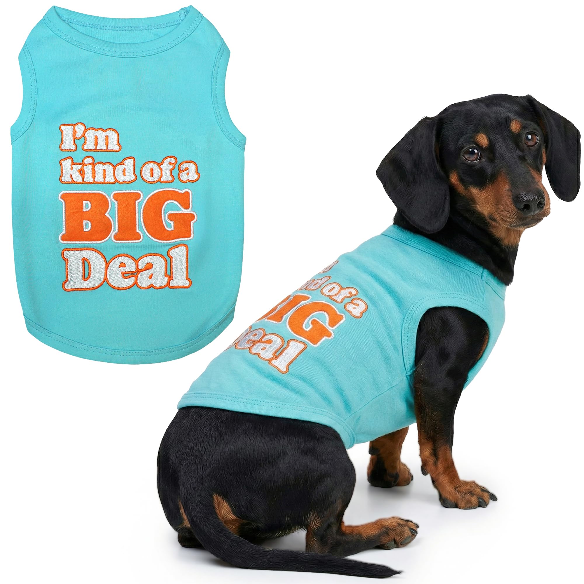 Parisian Pet I'm Kind of a Big Deal T-Shirt, X-Large