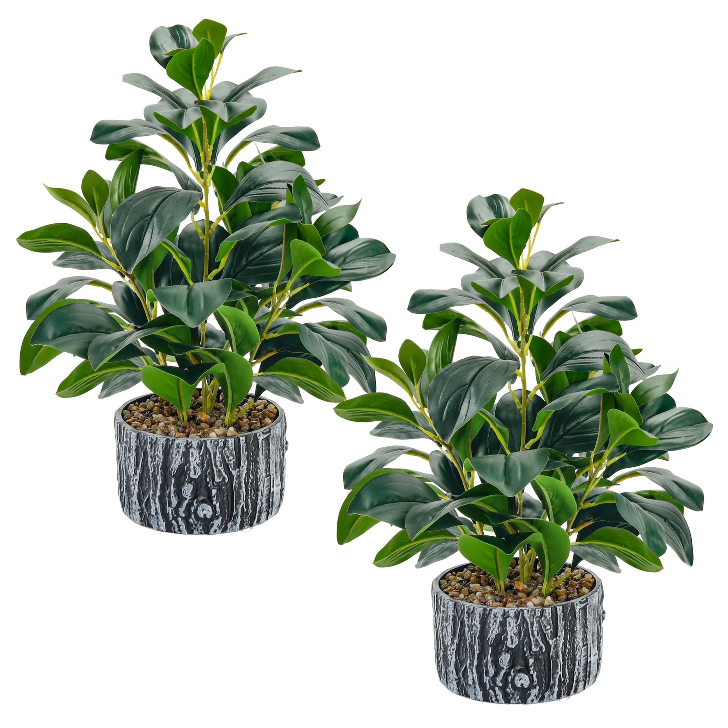 Photo 1 of Der Rose 2 Pack Fake Plants Artificial Plants Indoor with Black and White Striped Pots for Room Home Bathroom Bedroom Kitchen Decor