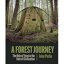 A Forest Journey: The Role of Trees in the Fate of Civilization 
