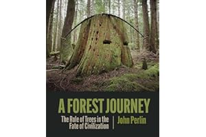 A Forest Journey: The Role of Trees in the Fate of Civilization