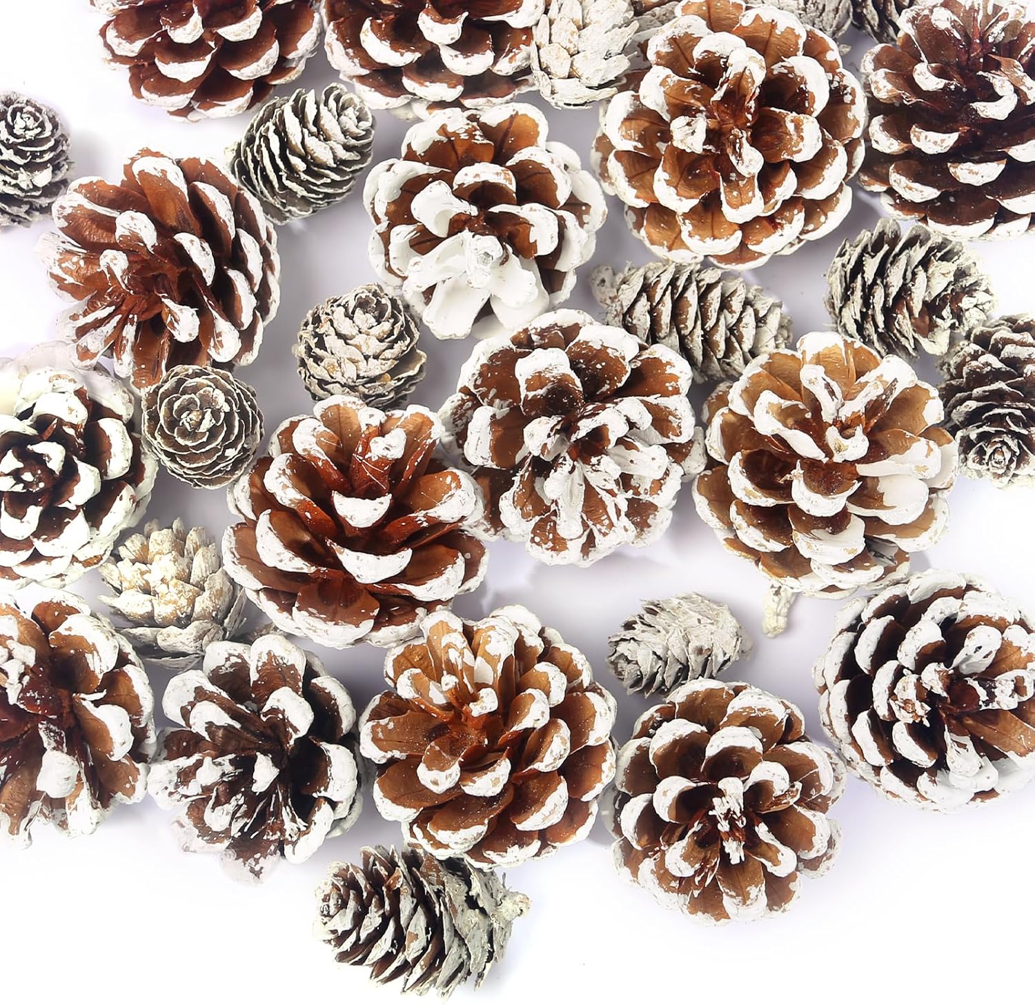 Vase Fillers - JOHOUSE 30PCS Snow Pinecones Decorations, Natural Pine Cones for Crafts Christmas Pine Cone Ornaments for Xmas Tree Winter Holiday Hanging Ornaments