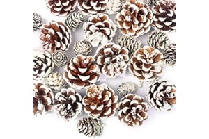 JOHOUSE 30PCS Snow-Dusted Pine Cones – Natural Pinecones for Christmas Tree Ornaments, Wreath Making, Bowl Filler, Winter Crafts & Holiday Vase Filler
