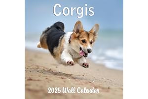 BLUE WOLF CALENDAR COMPANY 2025 Corgis Monthly Wall Calendar | 12" x 24" | Thick Sturdy Paper | Dog Calendar 2024-2025
