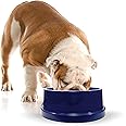 K&H Pet Products Coolin' Dog Water Bowl, Cooling Water Bowl for Small, Medium & Large Dogs & Cats, Indoor Outdoor Insulated Ice Cold Pet Bowl to Keep Pets Hydrated - 96 Ounces Chill Blue