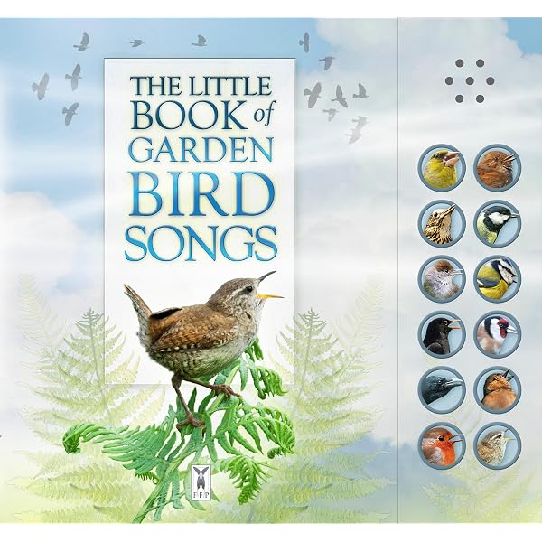 絵本・児童書 the song of the DAY BIRDS  絵本・児童書 the song