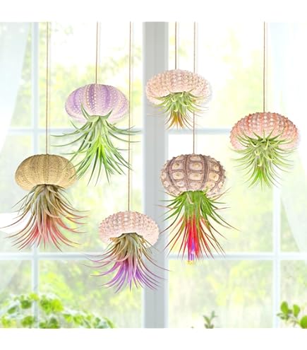 planter hanger hook Wooden plant hanger