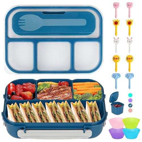 Zekloca Bento Lunch Box, Kids & Adult Lunch Containers, 4