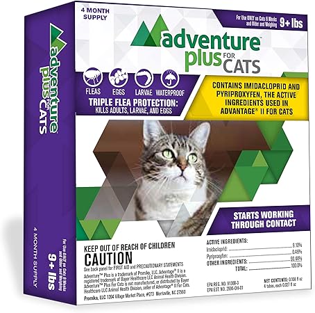 Flea protection for cats