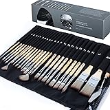 ARTIFY 24 Pieces Paint Brush Set, Expert Series, Enhanced Synthetic Brush Set with Cloth Roll and Palette Knife for Acrylic, 