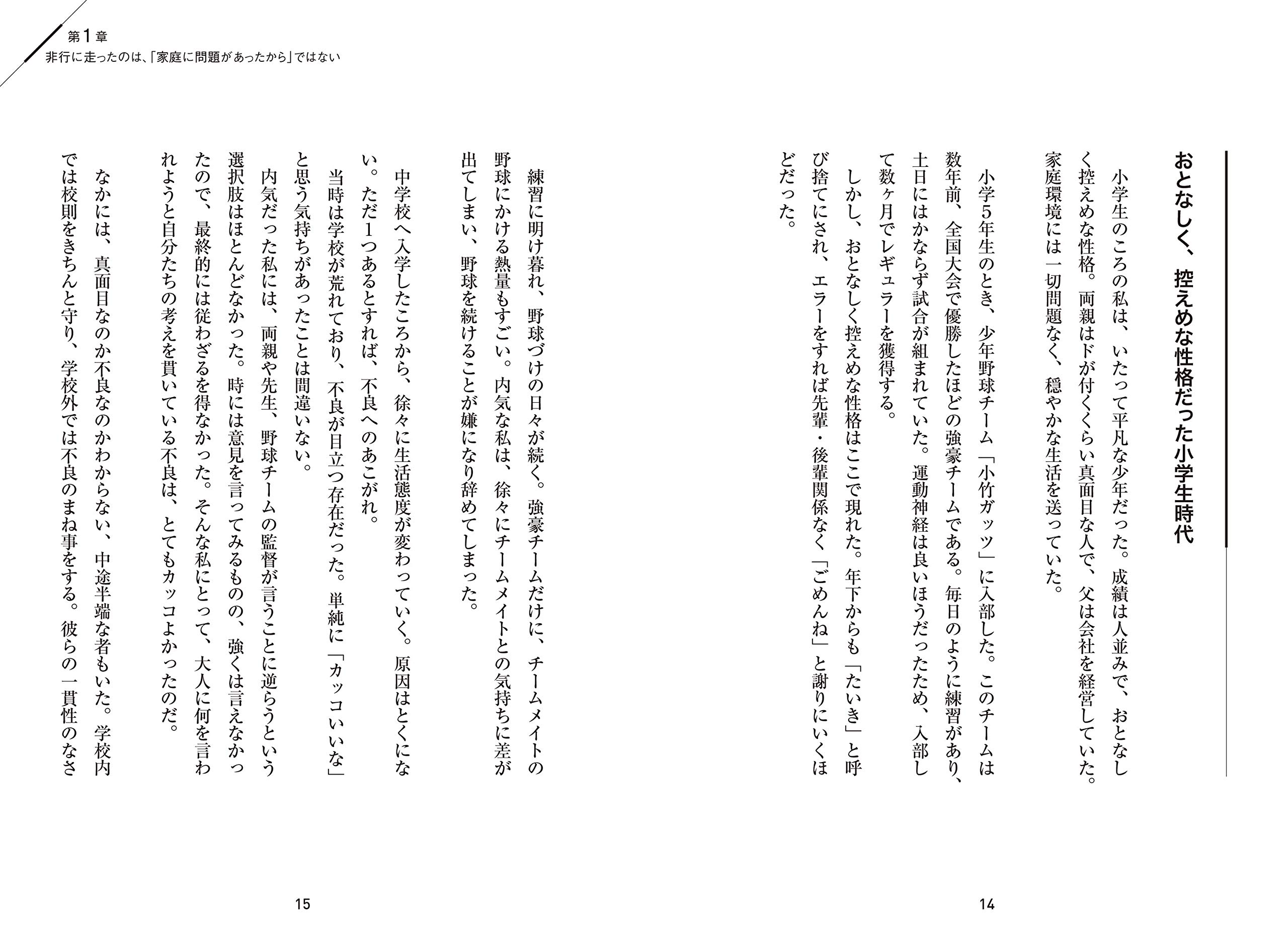 非行少年 議員になる Amazon Com Books