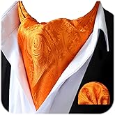 HISDERN Ascot Ties for Men Paisley Floral Ascot and Pocket Square Set Classic Self Tie Mens Cravat Handkerchief for Wedding