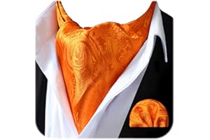 HISDERN Ascot Ties for Men Paisley Floral Ascot and Pocket Square Set Classic Self Tie Mens Cravat Handkerchief for Wedding