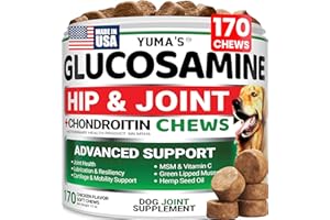 Glucosamine for Dogs - Hip and Joint Supplement for Dogs - 170 Ct - Glucosamine Chondroitin Chews - Joint Pain Relief Supplem