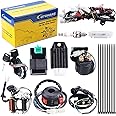 Complete Electrics Wiring Harness Relay Stator Coil CDI Solenoid Spark Plug for 4 Wheelers Stroke ATV （50cc 70cc 110cc 125cc） Pit Quad Dirt Bike Go Kart taotao by OTOHANS AUTOMOTIVE