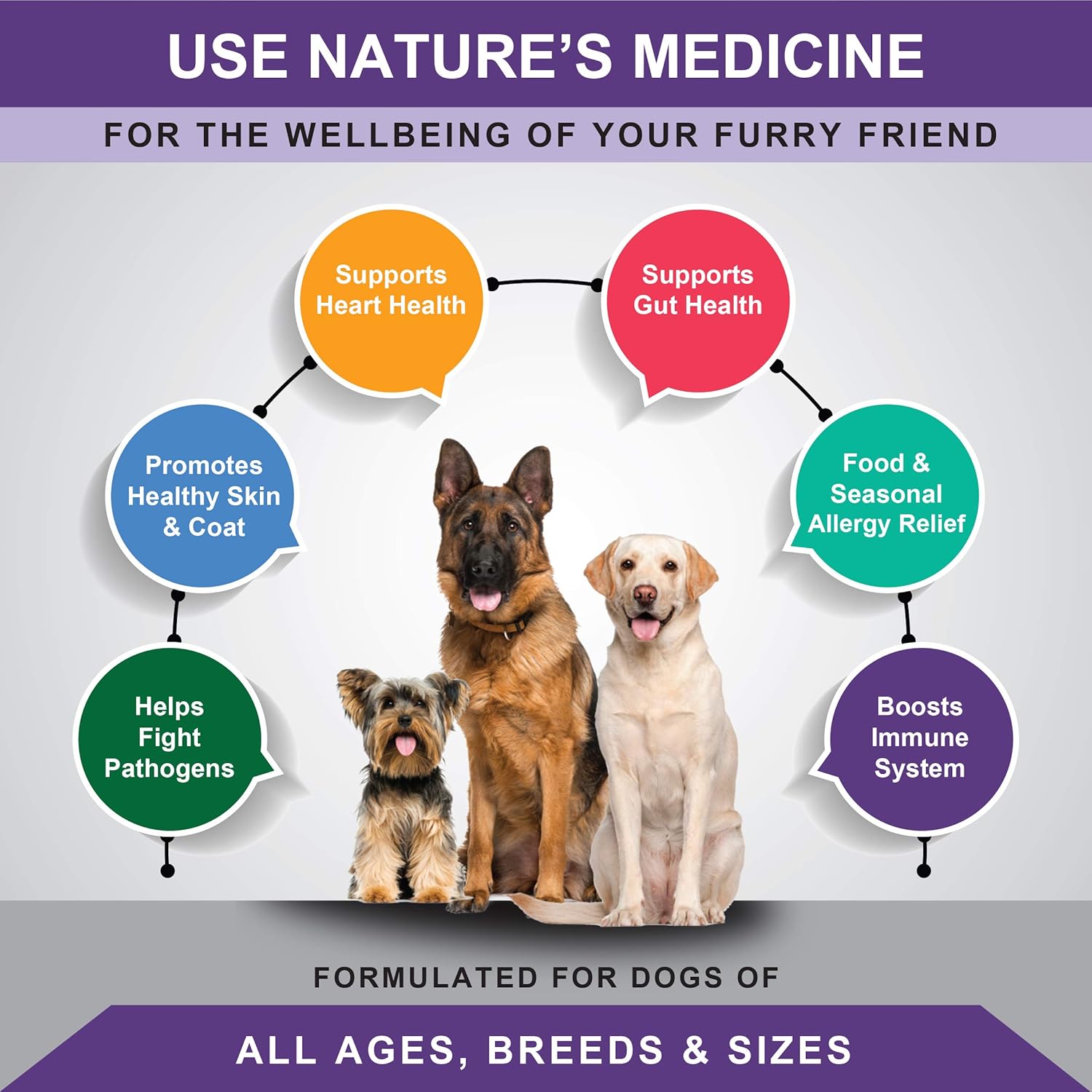 dog immune system booster
