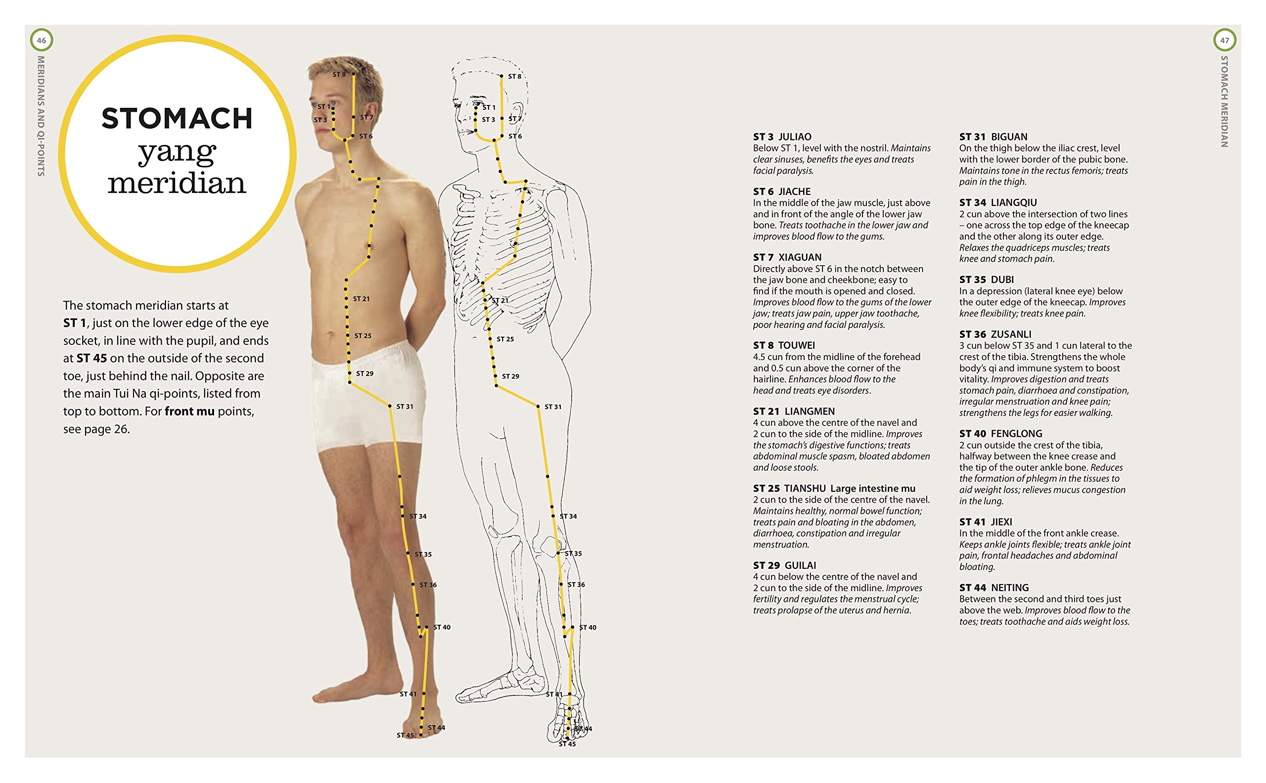 The Tui Na Manual: Massage to awaken body and mind: Amazon.co.uk: Maria  Mercati: 9781859064115: Books