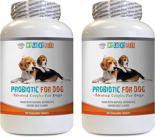digestive enzyme supplements for dogs