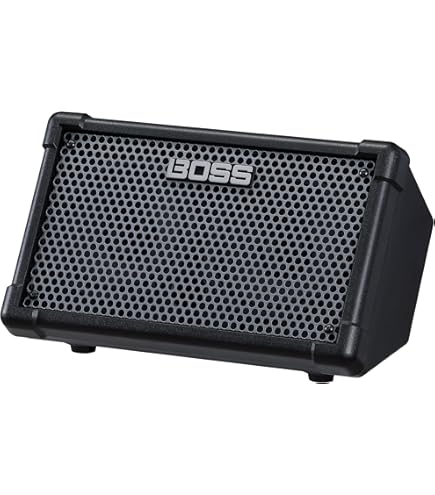 その他 Roland CUBE STREET EX Amazon.com: Roland Cube Street EX | Battery-Powered 50W Stereo