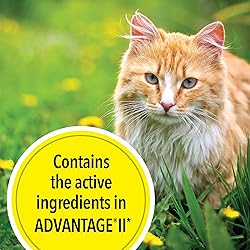 TevraPet Actispot II Flea Treatment for Large Cats