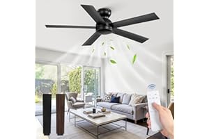 FANBULOUS 48 Inch Flush Mount Ceiling Fan no Light, Black Ceiling Fan with Remote, 6-Speeds, Quiet Reversible DC Motor, Indoor/Outdoor Ceiling Fans without Lights for Patio, Living Room, Bedroom