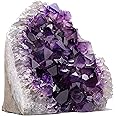 EMPORION Natural Amethyst (1 lb to 1.5 lb) - 3.5" to 6" Height - Crystal Clusters Stone from Uruguay Raw Geode Quartz - Deep Purple Color