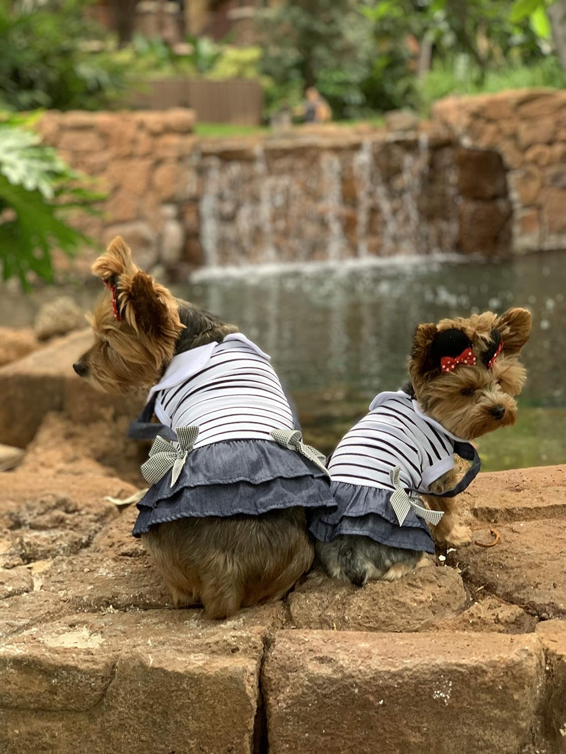 Parisian Pet Dog Clothes Cat Apparel Outfits Preppy Girl Dress, L, Preppy Boy Dress - Image 5