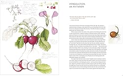The Joy of Botanical Drawing: A Step-by-Step Guide