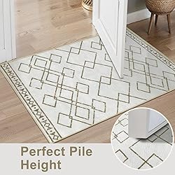 SERISSA 2x3 Washable Small Entry Rug,Soft Non Slip
