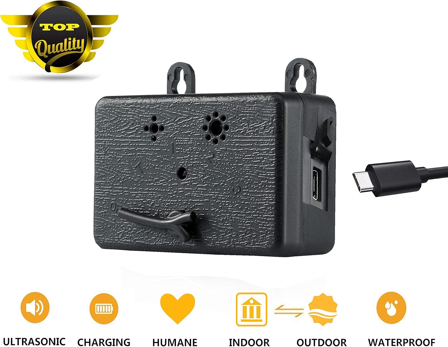 small modern fish tank