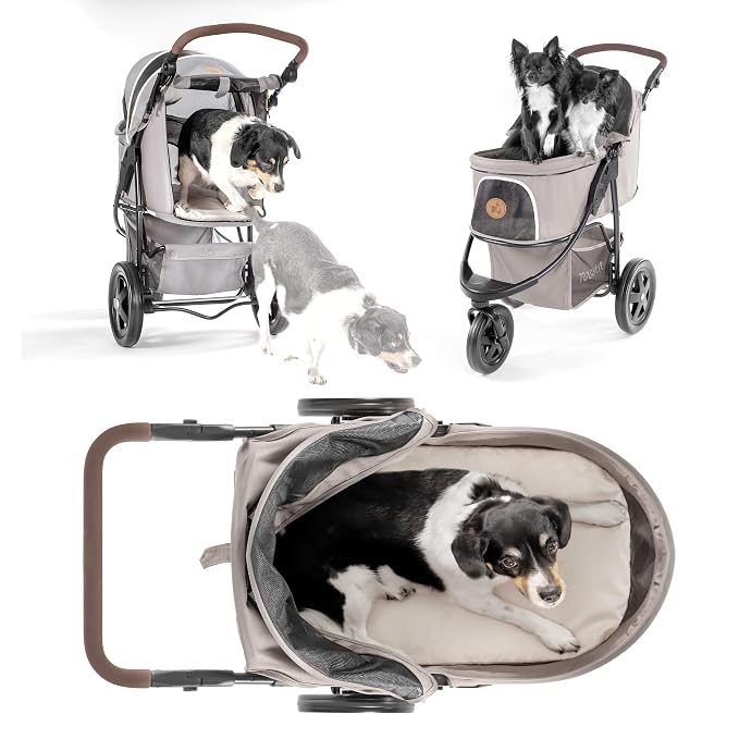 Buy Togfit P63607 Pet Roadster Gray Online At Low Prices In India